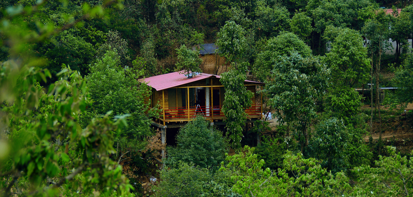 The Nest Tree house at Cottage Nirvana